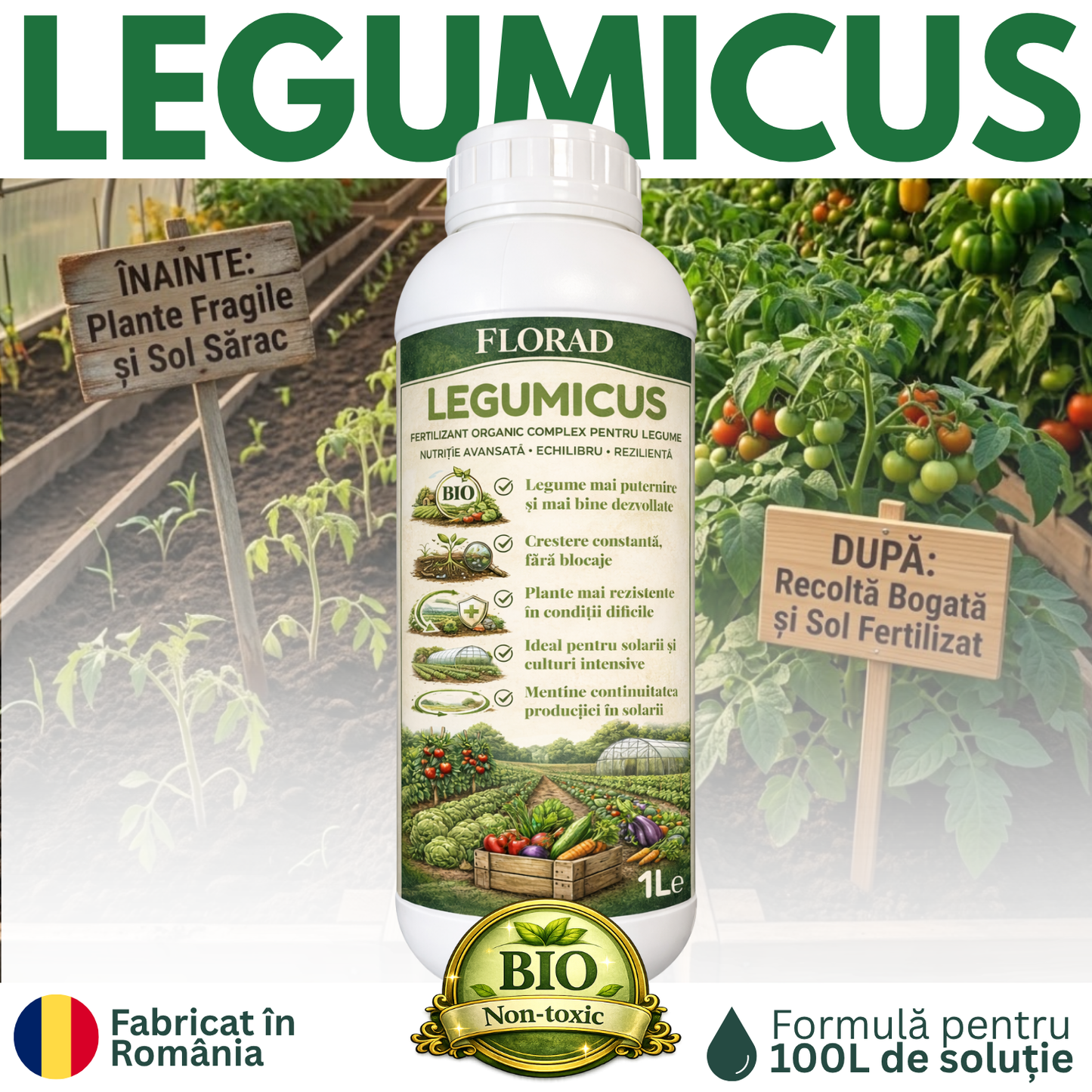 LEGUMICUS