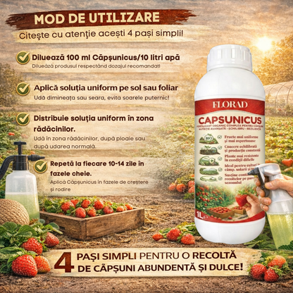 CAPSUNICUS