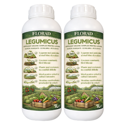 2 x Legumicus