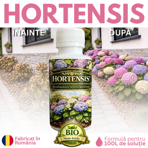 HORTENSIS 100ML