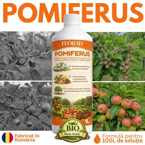 POMIFERUS
