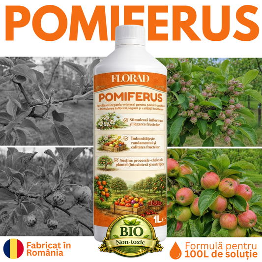 POMIFERUS