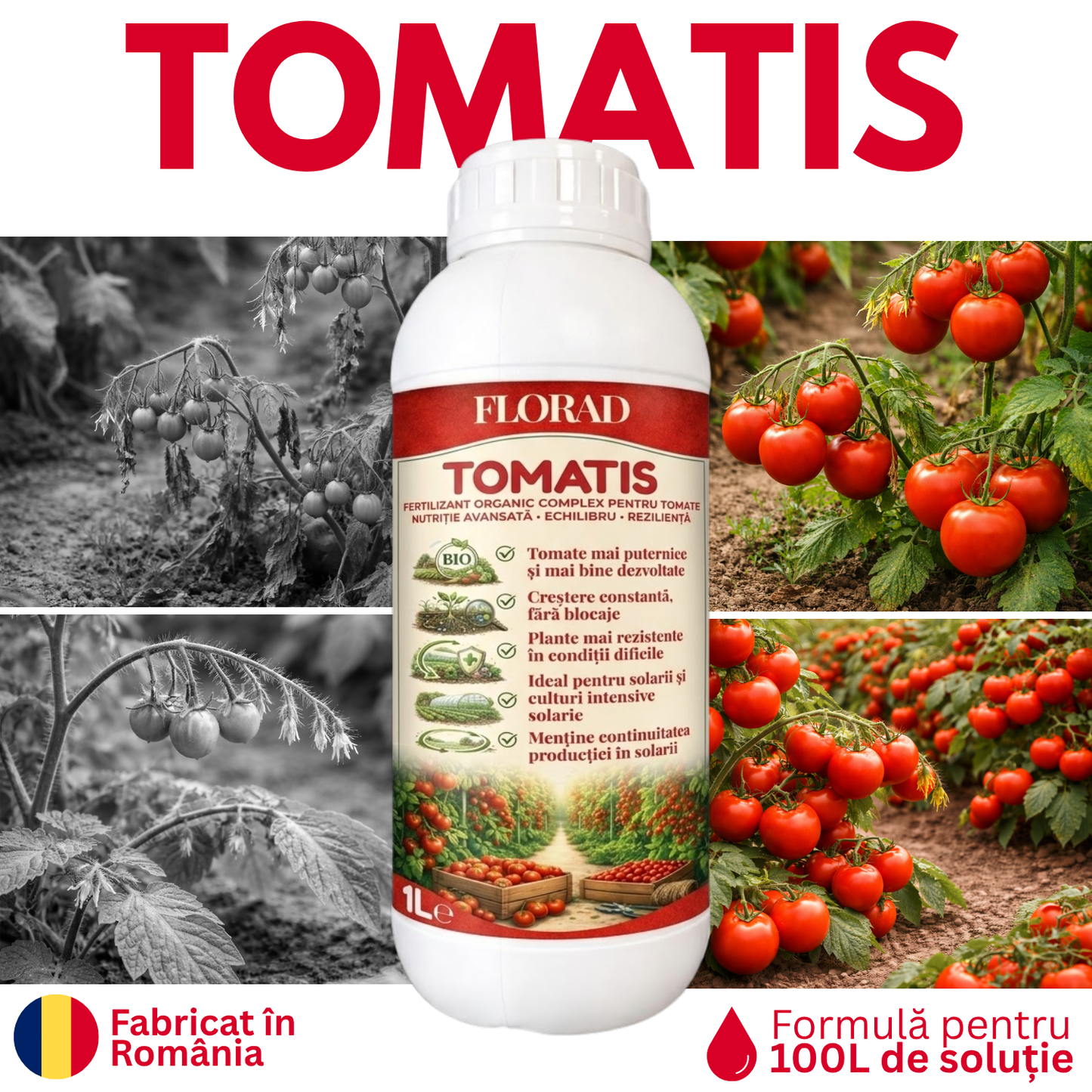 TOMATIS
